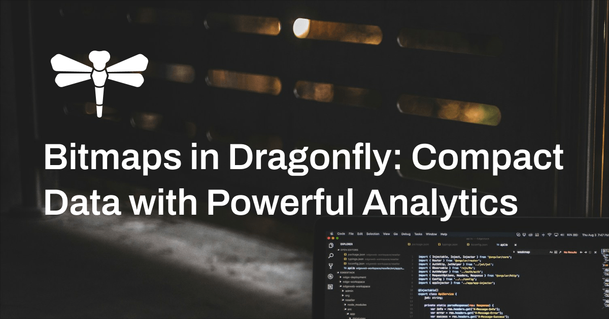 Bitmaps in Dragonfly: Compact Data with Powerful Analytics