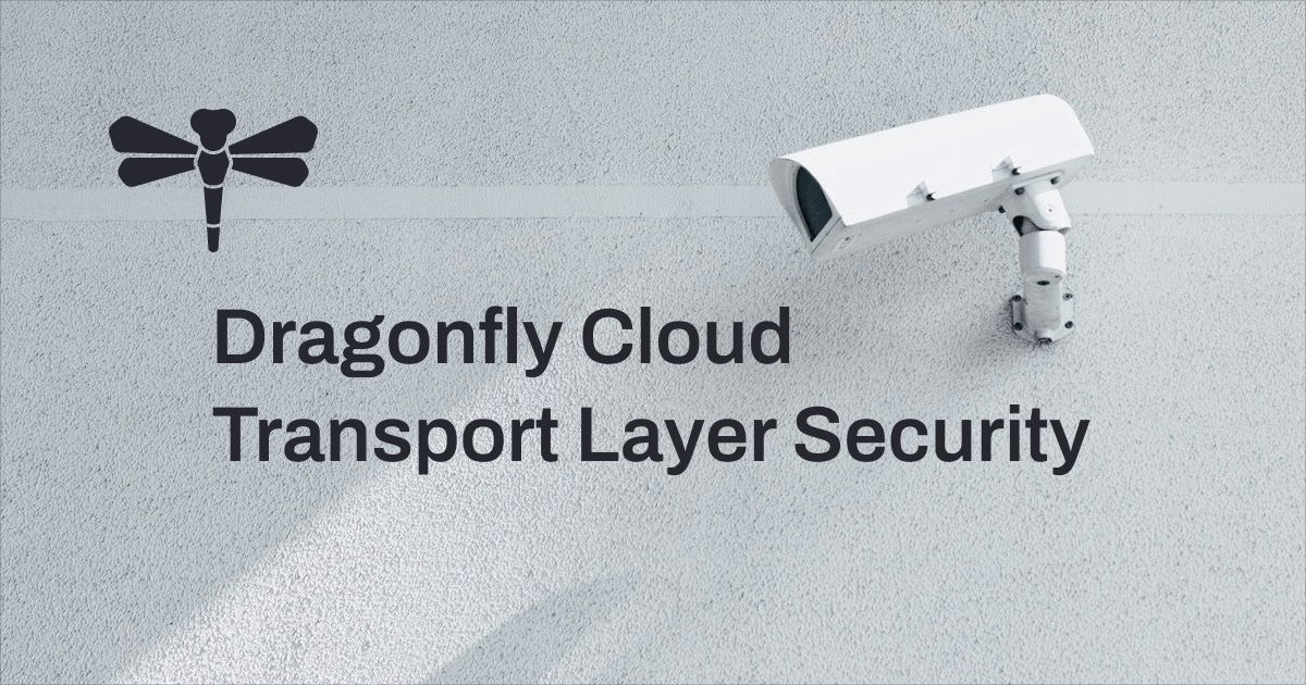 Dragonfly Cloud Transport Layer Security