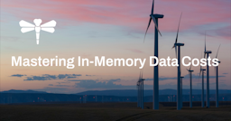 Mastering In-Memory Data Costs