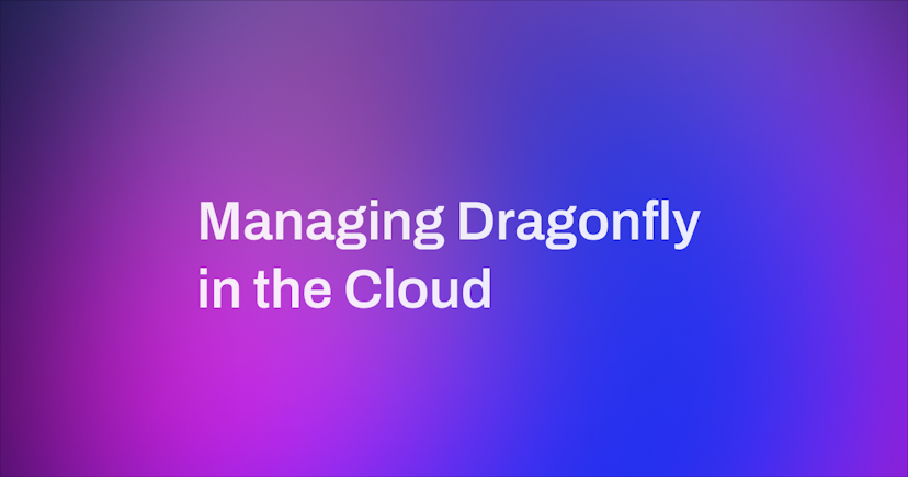 Managing Dragonfly in the Cloud